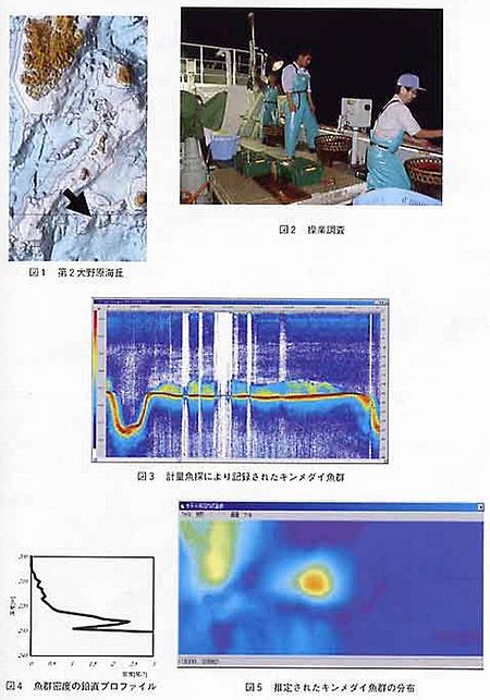 キンメダイ魚群分布図