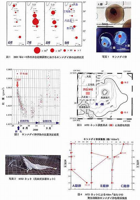 キンメダイ卵の水平・鉛直分布_説明資料