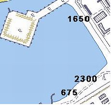 お台場海浜公園アサリ定着数