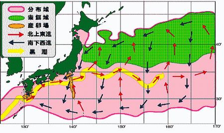 図6 ハマトビウオ推定回遊経路