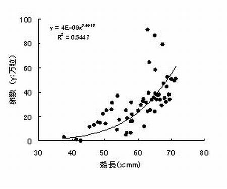 図5 殻長と抱卵数の関係