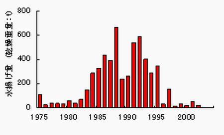 図1 八丈島におけるテングサ水揚げ量の推移