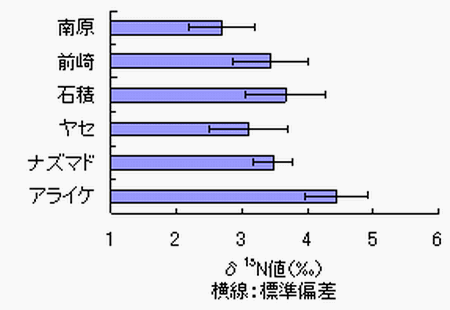 図7 各漁場のマクサ藻体の窒素安定同位体比