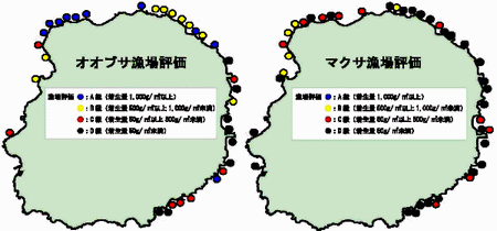 図1 テングサ漁場評価(左: オオブサ、右: マクサ)