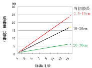 図6 シラナミガイの成長