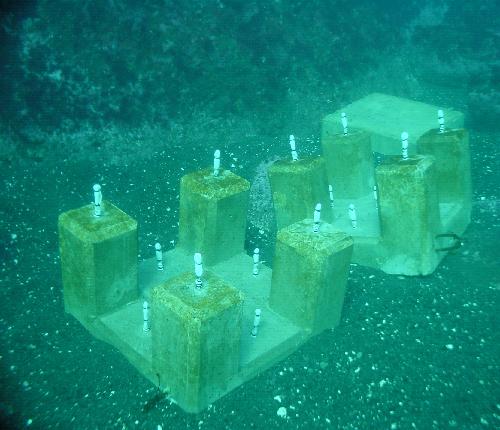 写真3　海底に設置した海藻礁