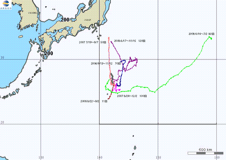 図6 放流後の回遊経路