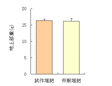 図3　コマツナの生育