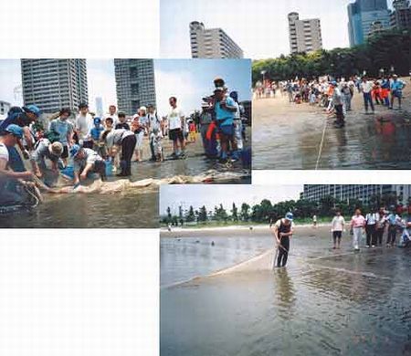 お魚教室（お台場）の様子