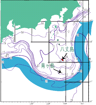 図1 2009年 3月25日現在の黒潮流路