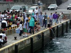 写真5 「トコブシ放流」の風景。トコブシ稚貝が入ったカゴを、ロープを使って水面に待機している、ダイバーに渡しています。