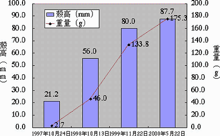 図2 サザエ放流種苗の成長（利島）