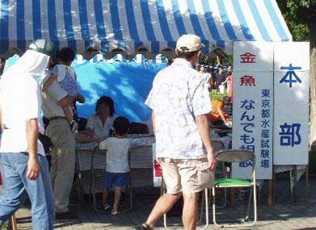 金魚祭り写真2