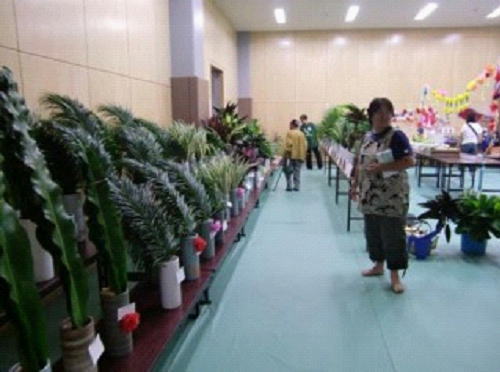 品評会に出展された切り葉類