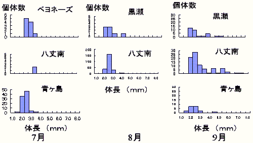 キンメダイ仔稚魚の出現傾向