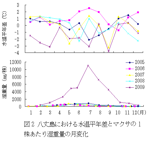 マクサ1株当たり湿重量