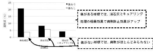 消石灰とキュアリングの組合せ処理によるカビ発生抑制効果