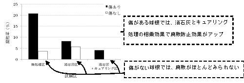 消石灰とキュアリングの組合せ処理によるカビ発生抑制効果