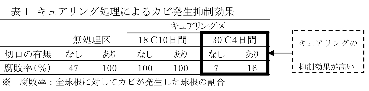 キュアリング処理によるカビ発生抑制効果