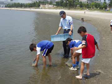 採集個数の計測を終えるまで残った子供らと採集貝を海に戻しました。
