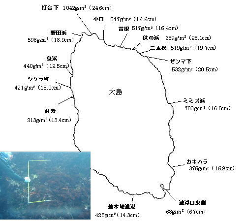 調査地点とテングサ着生量、（　）内は平均藻長