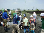 写真6
