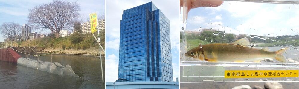 島しょ農林水産総合センター