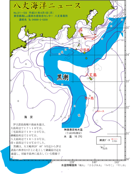 2019年4月1日八丈海洋ニュース