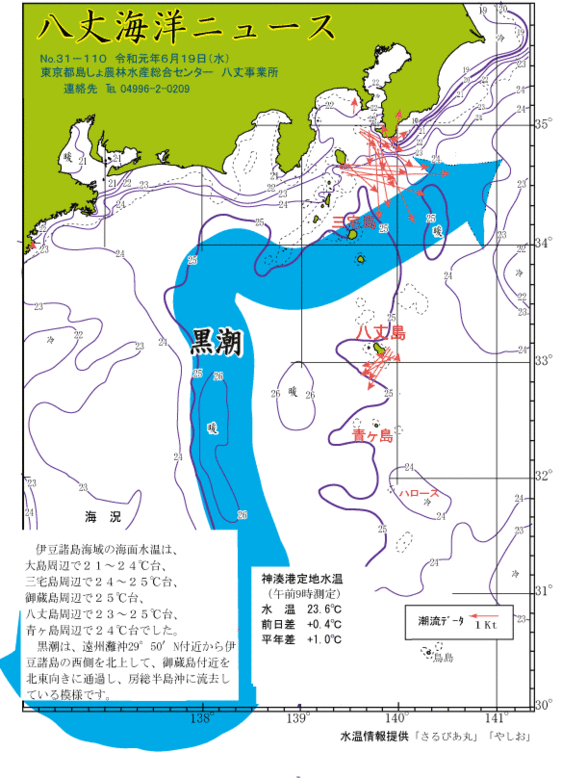 2019年6月19日八丈海洋ニュース