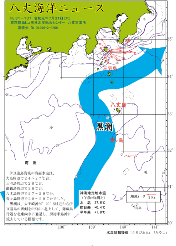 2019年7月31日八丈海洋ニュース