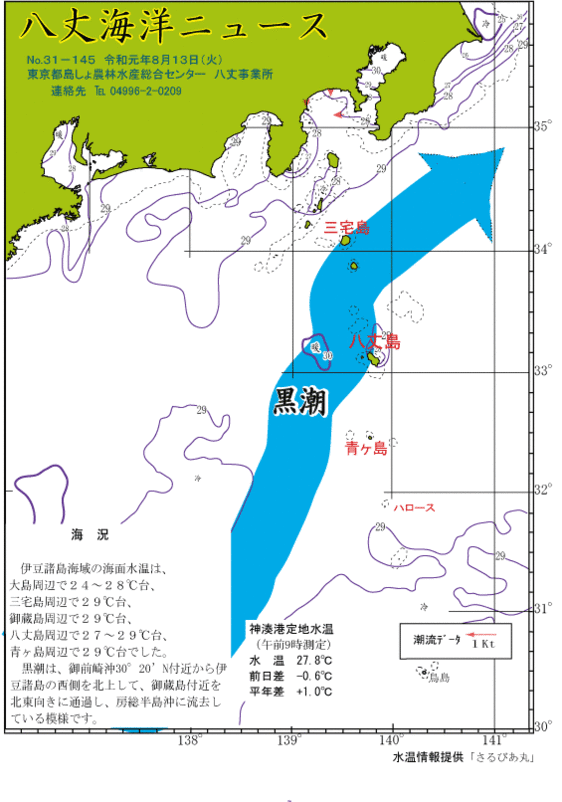 2019年8月13日八丈海洋ニュース