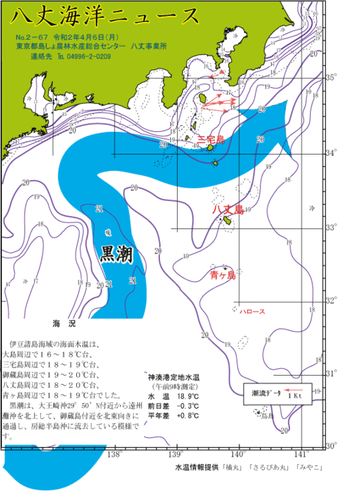 2020年4月6日八丈海洋ニュース