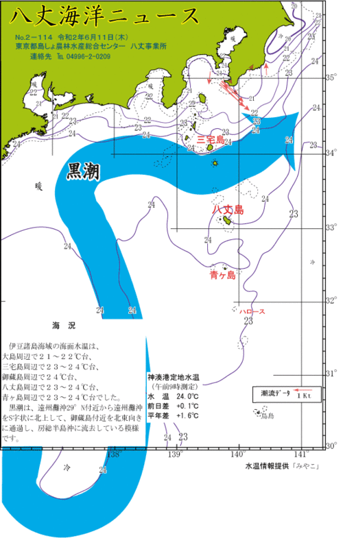 2020年6月11日八丈海洋ニュース