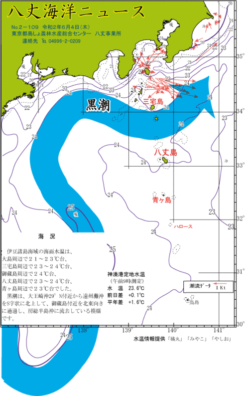 2020年6月4日八丈海洋ニュース