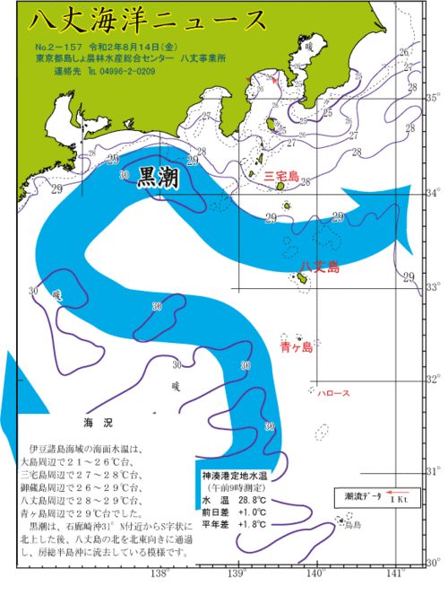 2020年8月14日八丈海洋ニュース