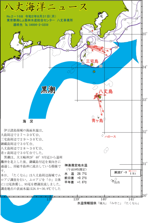 2020年8月31日八丈海洋ニュース