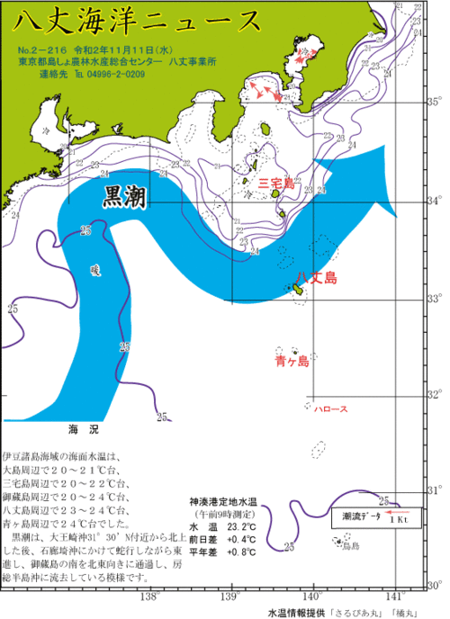 2020年11月11日八丈海洋ニュース