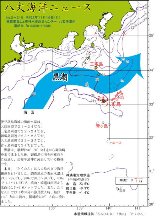 2020年11月16日八丈海洋ニュース