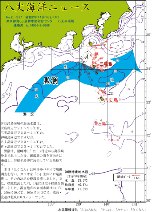 2020年11月18日八丈海洋ニュース