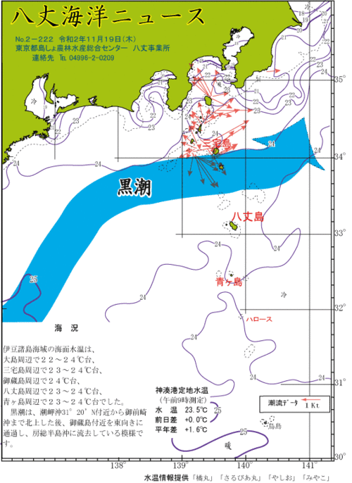 2020年11月19日八丈海洋ニュース