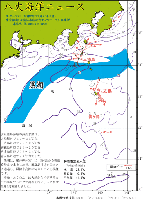 2019年11月20日八丈海洋ニュース