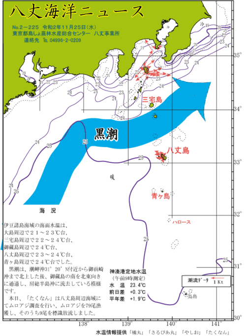 2019年11月25日八丈海洋ニュース