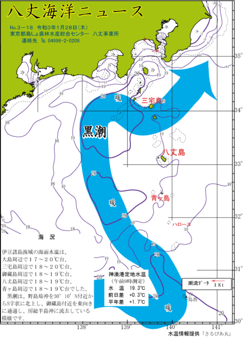 2021年1月28日八丈海洋ニュース