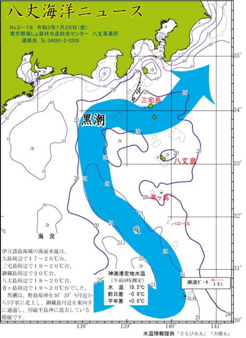 2021年1月29日八丈海洋ニュース