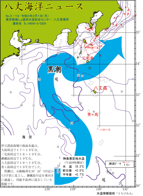 2021年2月1日八丈海洋ニュース