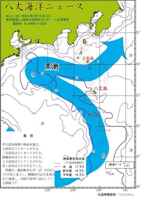 2021年2月16日八丈海洋ニュース