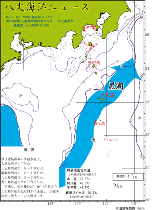 2021年4月3日八丈海洋ニュース