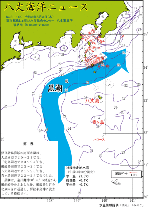 2021年6月3日八丈海洋ニュース