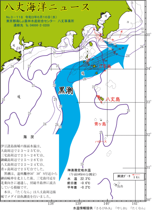 2021年6月16日八丈海洋ニュース