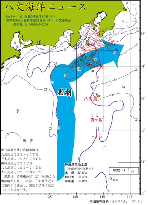 2021年6月17日八丈海洋ニュース